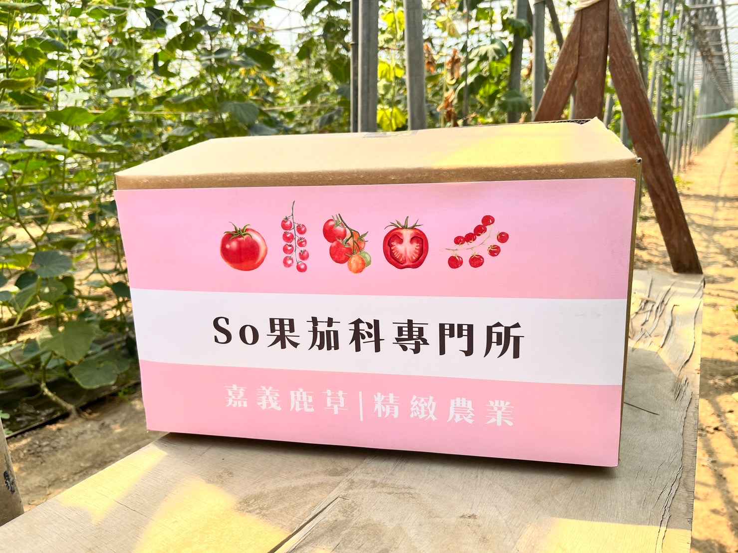圖片2